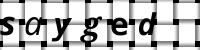 CAPTCHA image